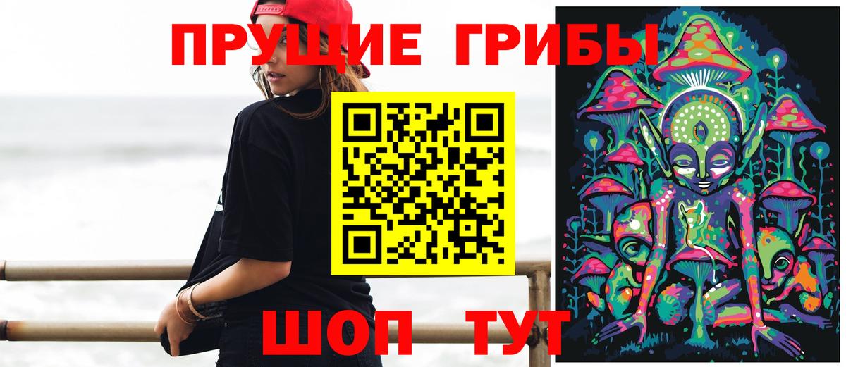 Гудермес  Псилоцибиновые грибы GOLDEN TEACHER  наркота  Вход с VPN 